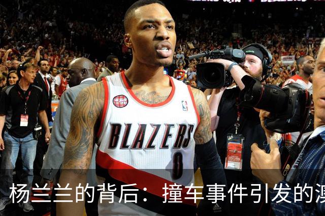 杨兰兰的背后：撞车事件引发的澳洲法律漩涡